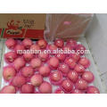 Yantai delicioso fresco vermelho Fuji Apple-blush